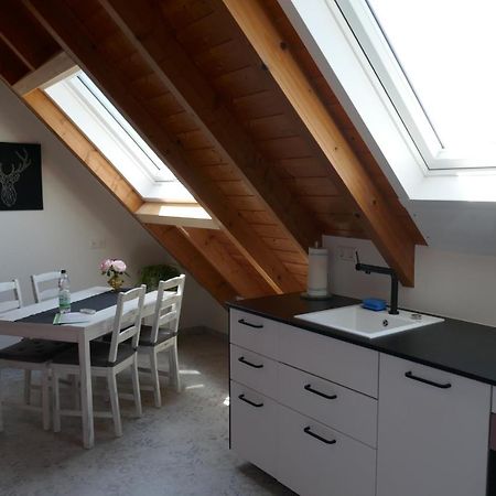 Moderne 2 Zi - Fewo Weinbergliebe Am Tuniberg Zwischen Freiburg Und Frankreich Merdingen Luaran gambar