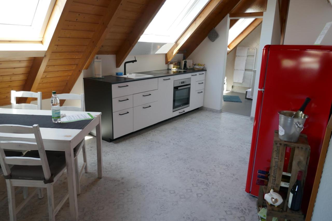 Moderne 2 Zi - Fewo Weinbergliebe Am Tuniberg Zwischen Freiburg Und Frankreich Merdingen Luaran gambar